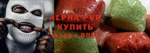 стаф Каменка
